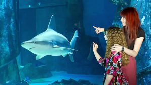 cheap flights from dublin to london 2018 - sea life london